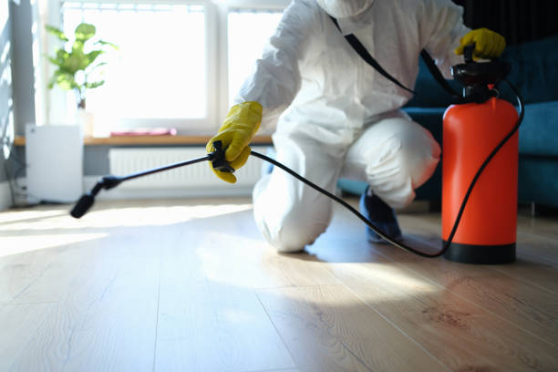 Reliable Biohazard contractor in Frisco, NC by Trauma Clean Pros